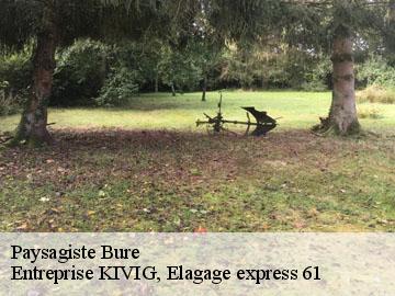 Paysagiste  bure-61170 Entreprise KIVIG, Elagage express 61