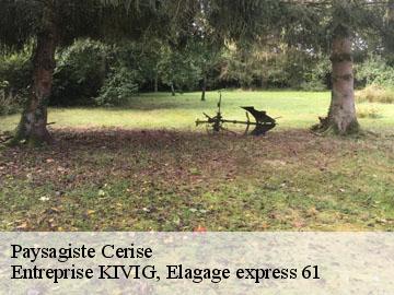 Paysagiste  cerise-61000 Entreprise KIVIG, Elagage express 61