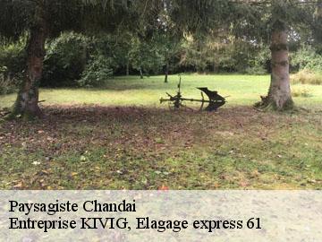 Paysagiste  chandai-61300 Entreprise KIVIG, Elagage express 61