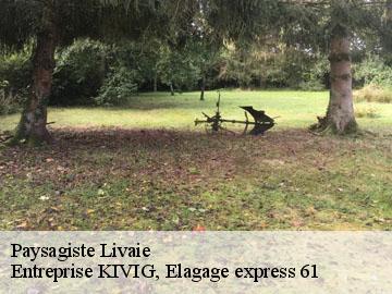 Paysagiste  livaie-61420 Entreprise KIVIG, Elagage express 61