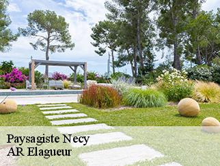 Paysagiste necy-61160 AR Elagueur