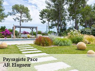 Paysagiste  pace-61250 AR Elagueur