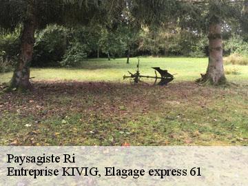 Paysagiste  ri-61210 Entreprise KIVIG, Elagage express 61