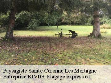 Paysagiste  sainte-ceronne-les-mortagne-61380 Entreprise KIVIG, Elagage express 61