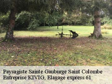 Paysagiste  sainte-gauburge-saint-colombe-61370 Entreprise KIVIG, Elagage express 61