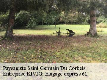 Paysagiste  saint-germain-du-corbeis-61000 Entreprise KIVIG, Elagage express 61