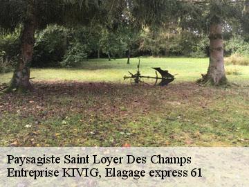 Paysagiste  saint-loyer-des-champs-61570 Entreprise KIVIG, Elagage express 61