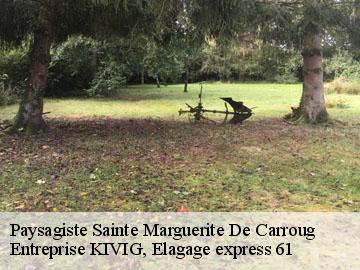 Paysagiste  sainte-marguerite-de-carroug-61320 Entreprise KIVIG, Elagage express 61