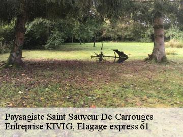 Paysagiste  saint-sauveur-de-carrouges-61320 Entreprise KIVIG, Elagage express 61