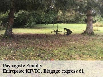 Paysagiste  sentilly-61150 Entreprise KIVIG, Elagage express 61