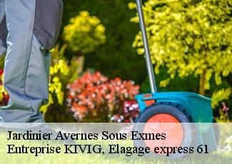 Jardinier  avernes-sous-exmes-61310 Entreprise KIVIG, Elagage express 61