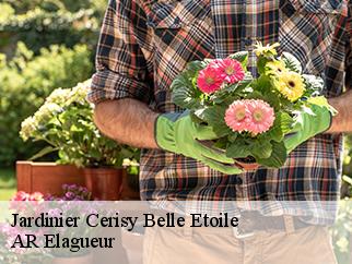Jardinier cerisy-belle-etoile-61100 AR Elagueur