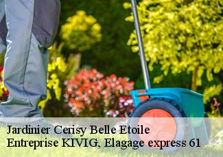 Jardinier  cerisy-belle-etoile-61100 Entreprise KIVIG, Elagage express 61