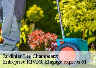 Jardinier  les-champeaux-61120 Entreprise KIVIG, Elagage express 61
