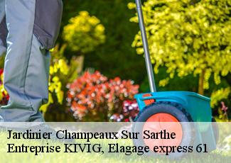 Jardinier  champeaux-sur-sarthe-61560 Entreprise KIVIG, Elagage express 61