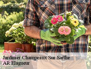 Jardinier  champeaux-sur-sarthe-61560 Entreprise KIVIG, Elagage express 61