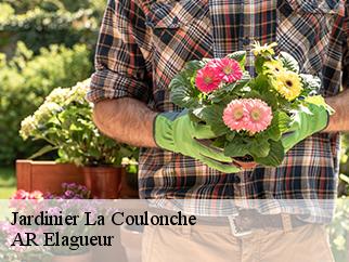 Jardinier la-coulonche-61220 AR Elagueur