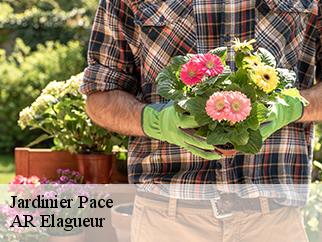 Jardinier  pace-61250 AR Elagueur