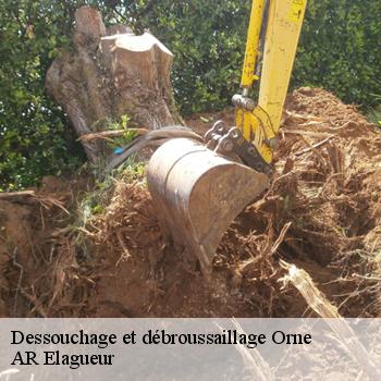 Dessouchage et débroussaillage 61 Orne AR Elagueur