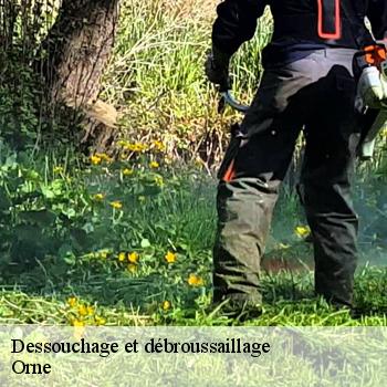Dessouchage et débroussaillage Orne