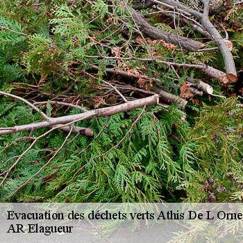 Evacuation des déchets verts  athis-de-l-orne-61430 AR Elagueur