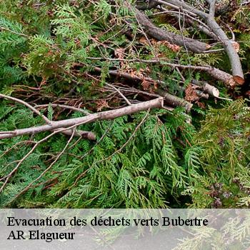 Evacuation des déchets verts bubertre-61190 AR Elagueur