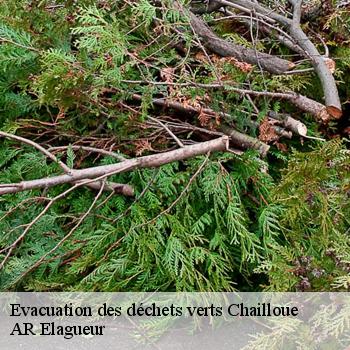 Evacuation des déchets verts chailloue-61500 AR Elagueur
