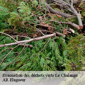 Evacuation des déchets verts le-chalange-61390 AR Elagueur