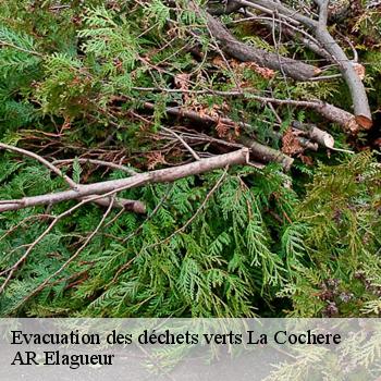 Evacuation des déchets verts  la-cochere-61310 AR Elagueur