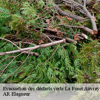Evacuation des déchets verts la-foret-auvray-61210 AR Elagueur