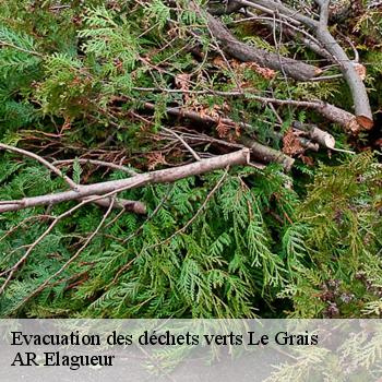 Evacuation des déchets verts le-grais-61600 AR Elagueur