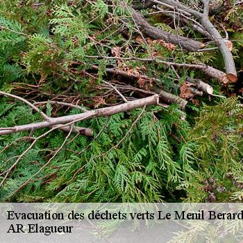 Evacuation des déchets verts le-menil-berard-61270 AR Elagueur