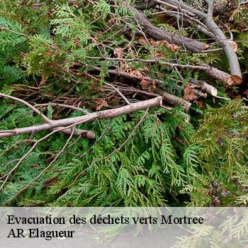 Evacuation des déchets verts mortree-61570 AR Elagueur