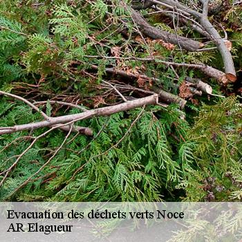 Evacuation des déchets verts noce-61340 AR Elagueur