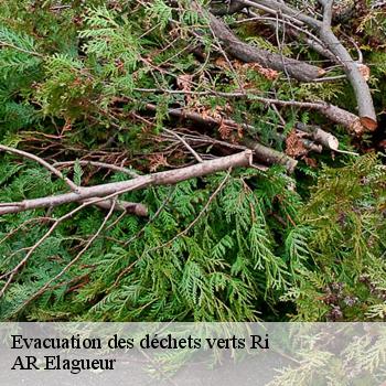 Evacuation des déchets verts ri-61210 AR Elagueur