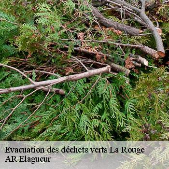 Evacuation des déchets verts la-rouge-61260 AR Elagueur