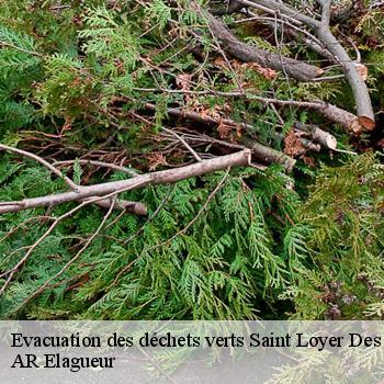 Evacuation des déchets verts  saint-loyer-des-champs-61570 AR Elagueur