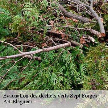 Evacuation des déchets verts sept-forges-61330 AR Elagueur