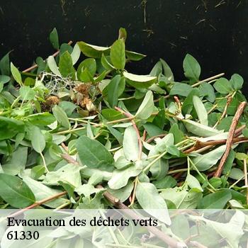 Evacuation des déchets verts 61330