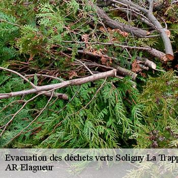 Evacuation des déchets verts  soligny-la-trappe-61380 AR Elagueur