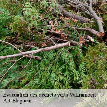 Evacuation des déchets verts  valframbert-61250 AR Elagueur