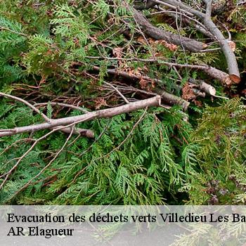 Evacuation des déchets verts  villedieu-les-bailleul-61160 AR Elagueur